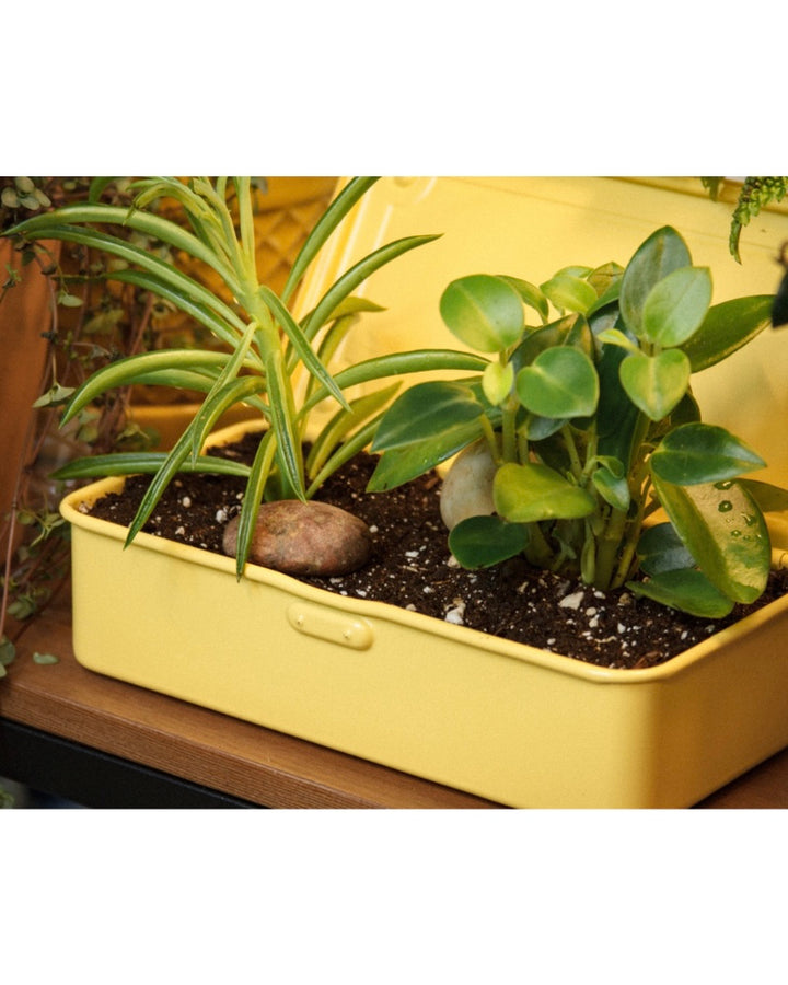 Toyo Steel | Trunk shape toolbox | T190 | Italian Yellow